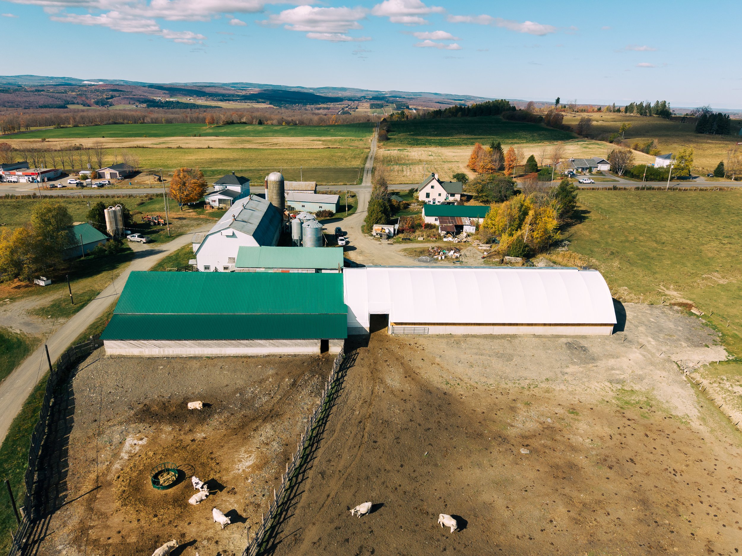 DJI_20251017125121_0254_D.jpg