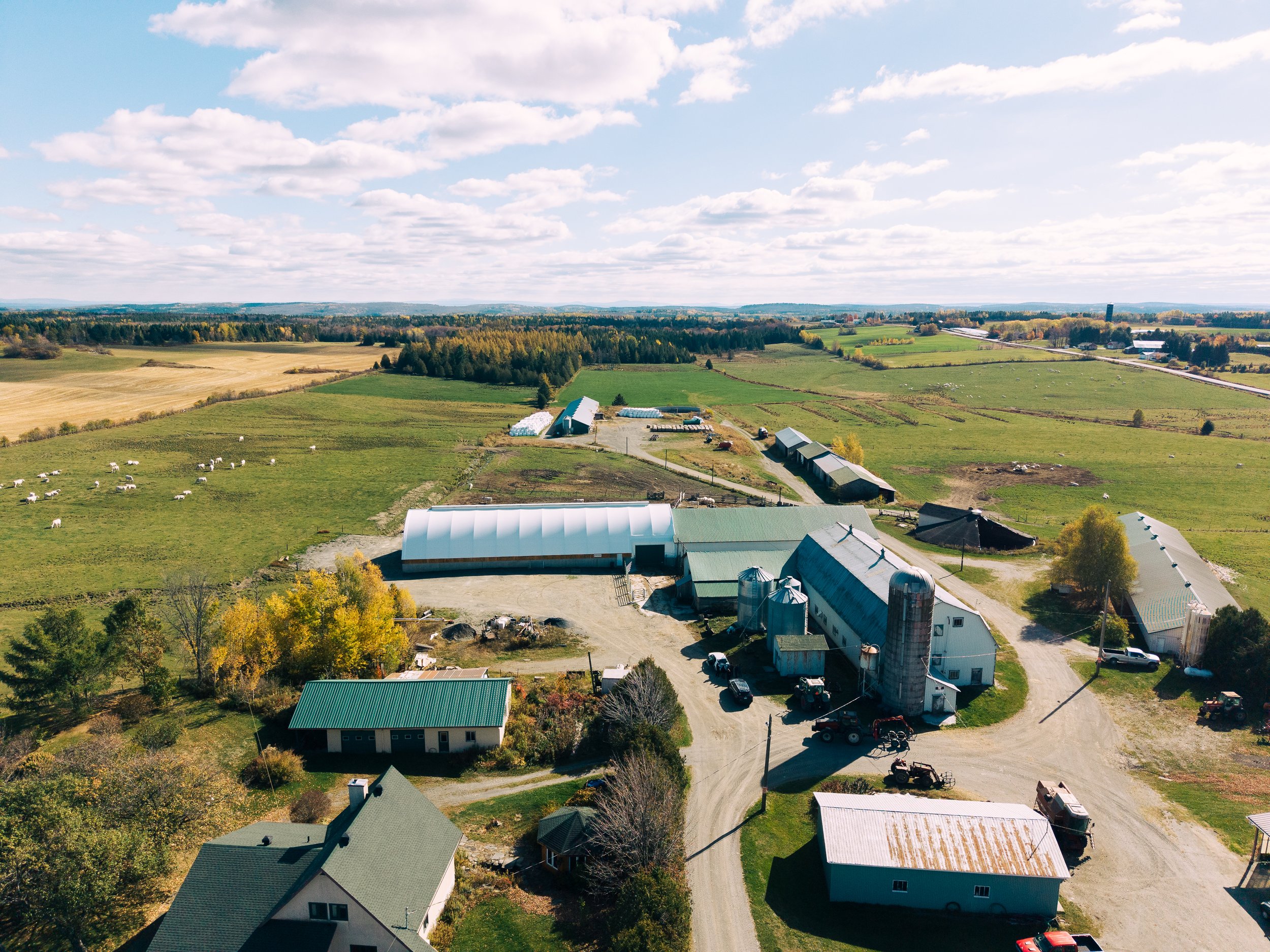 DJI_20251017125338_0263_D.jpg