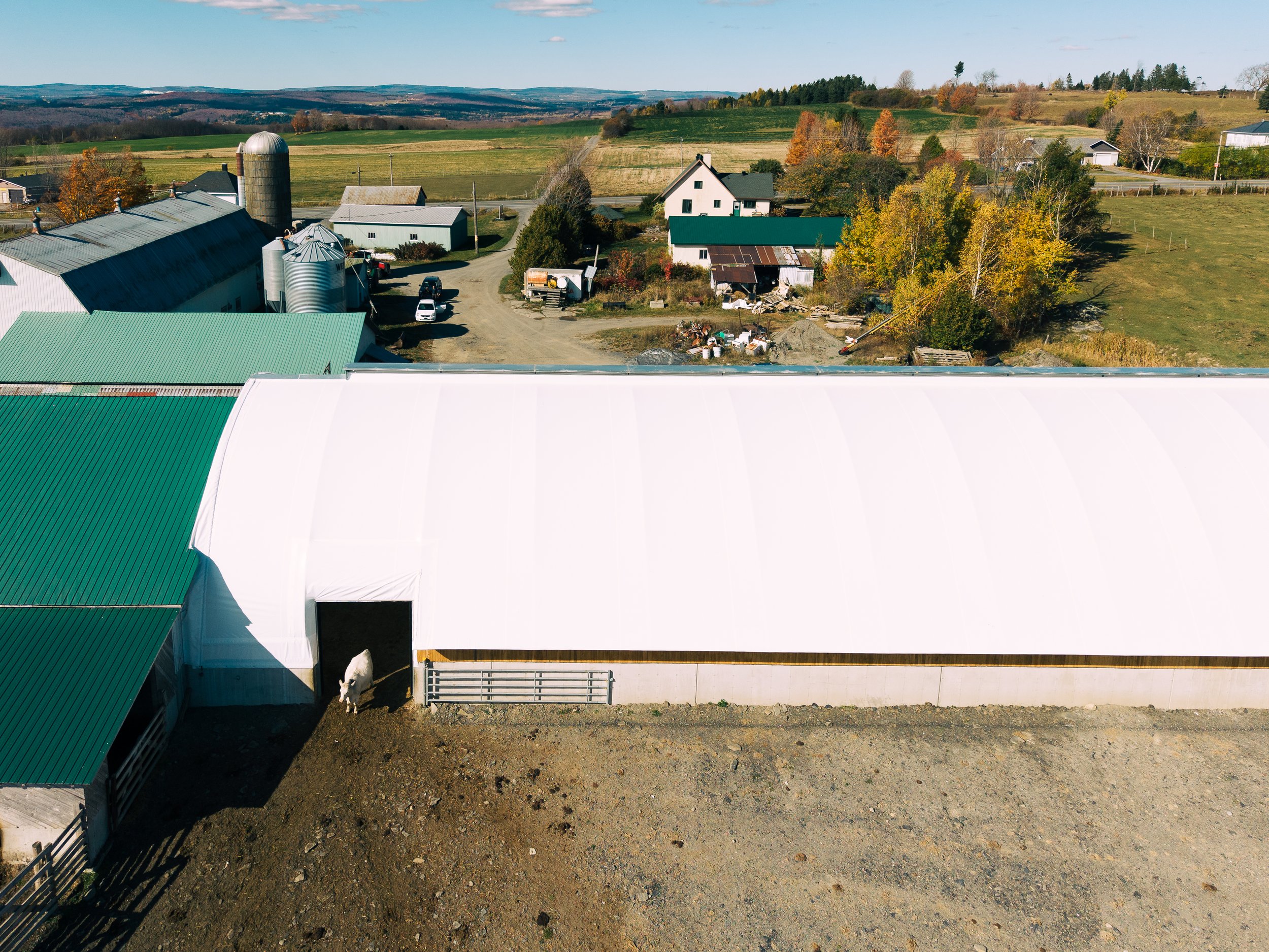 DJI_20251017125755_0277_D.jpg