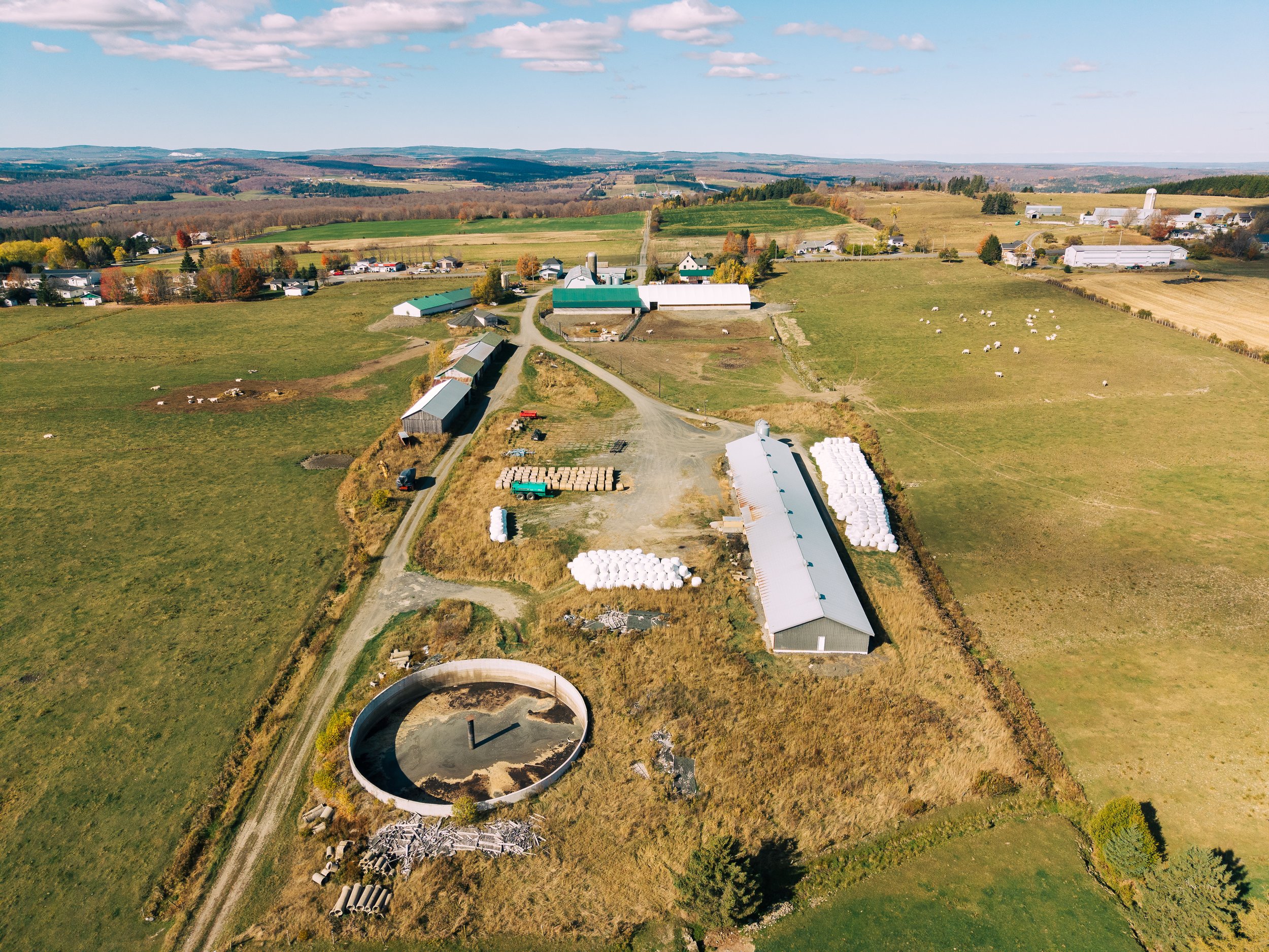 DJI_20251017125231_0260_D.jpg