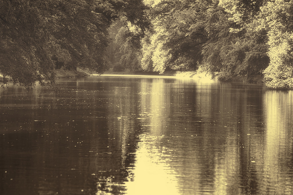 Still Water I
